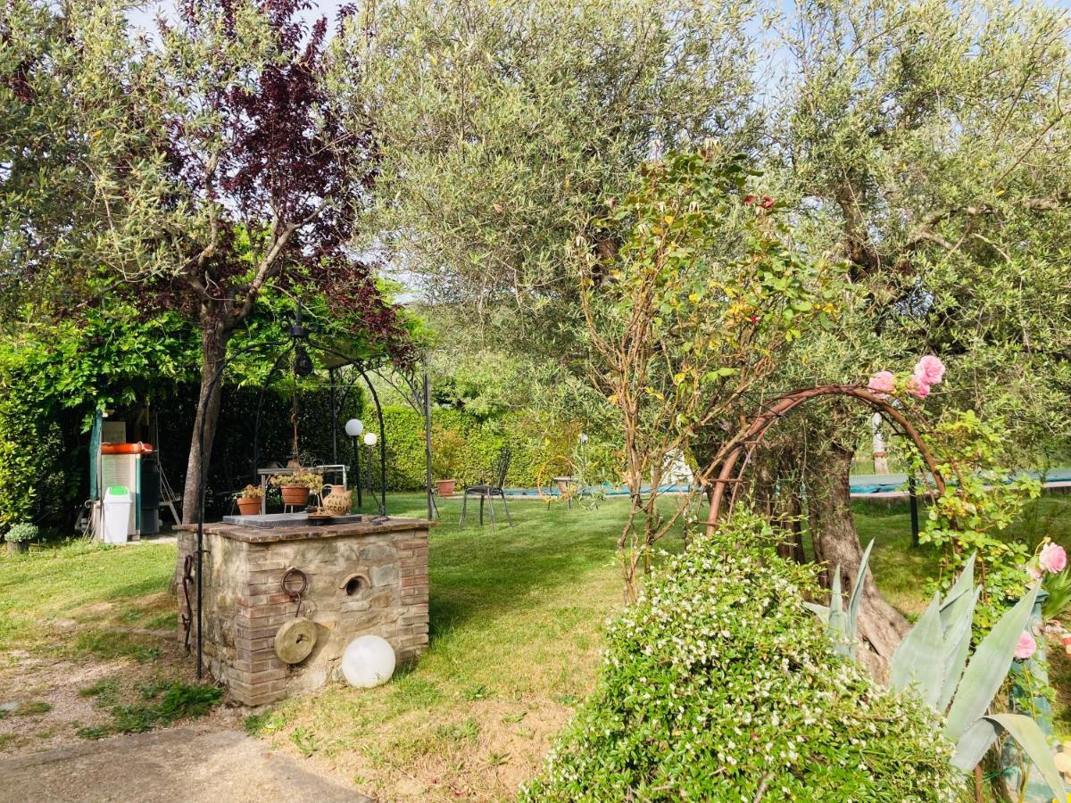 特拉西梅诺湖畔托罗 Le Coccole Del Trasimeno旅馆 外观 照片