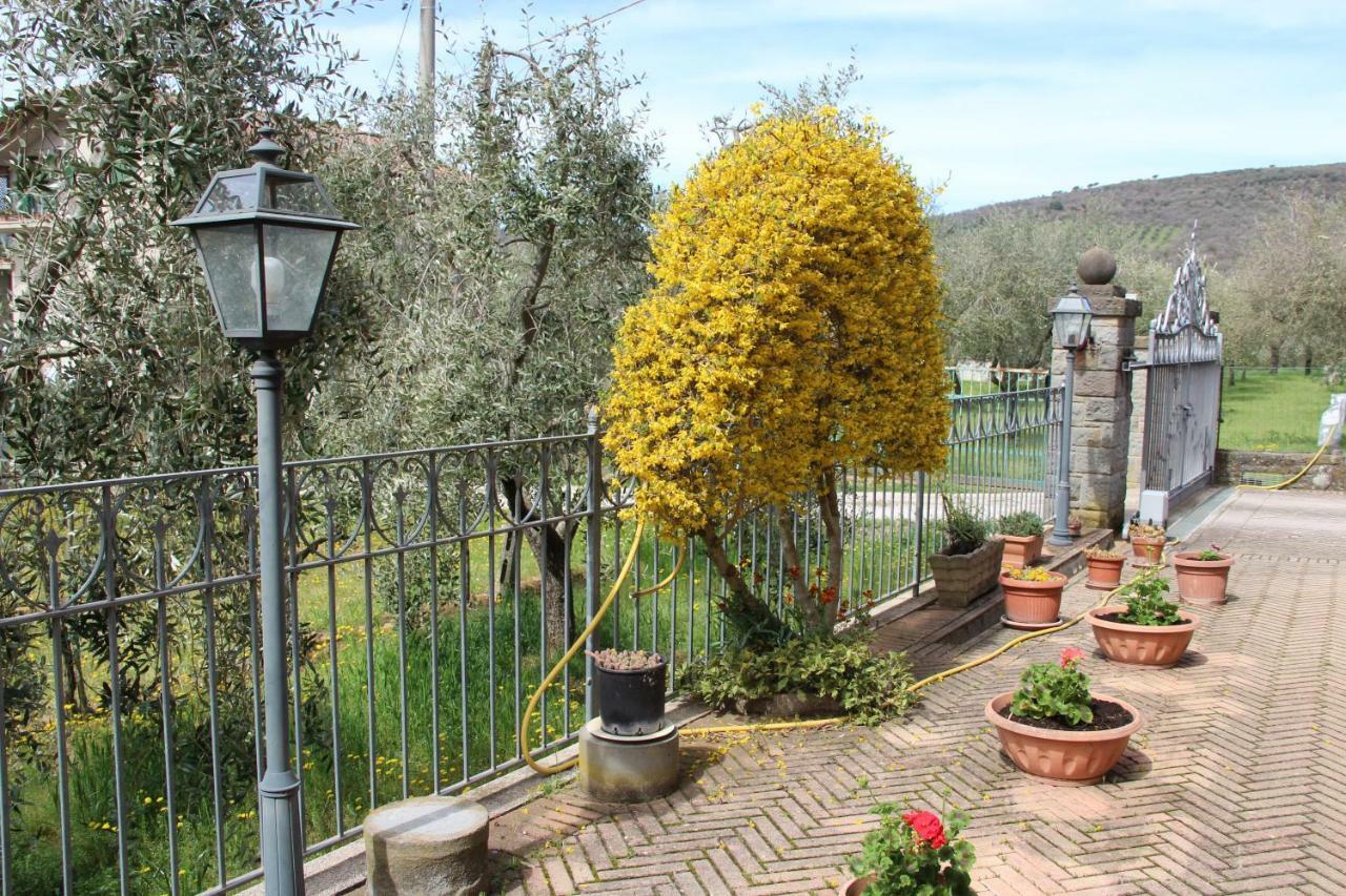 特拉西梅诺湖畔托罗 Le Coccole Del Trasimeno旅馆 外观 照片