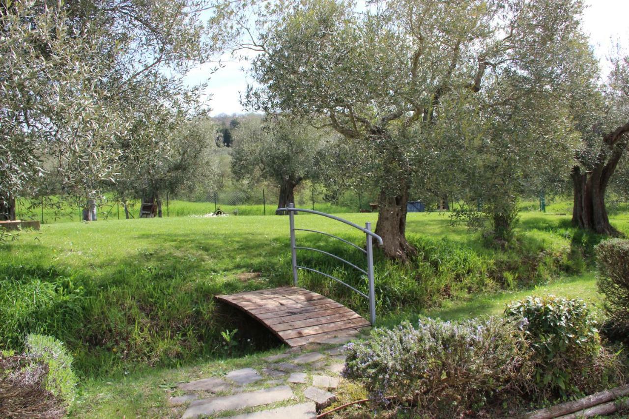特拉西梅诺湖畔托罗 Le Coccole Del Trasimeno旅馆 外观 照片
