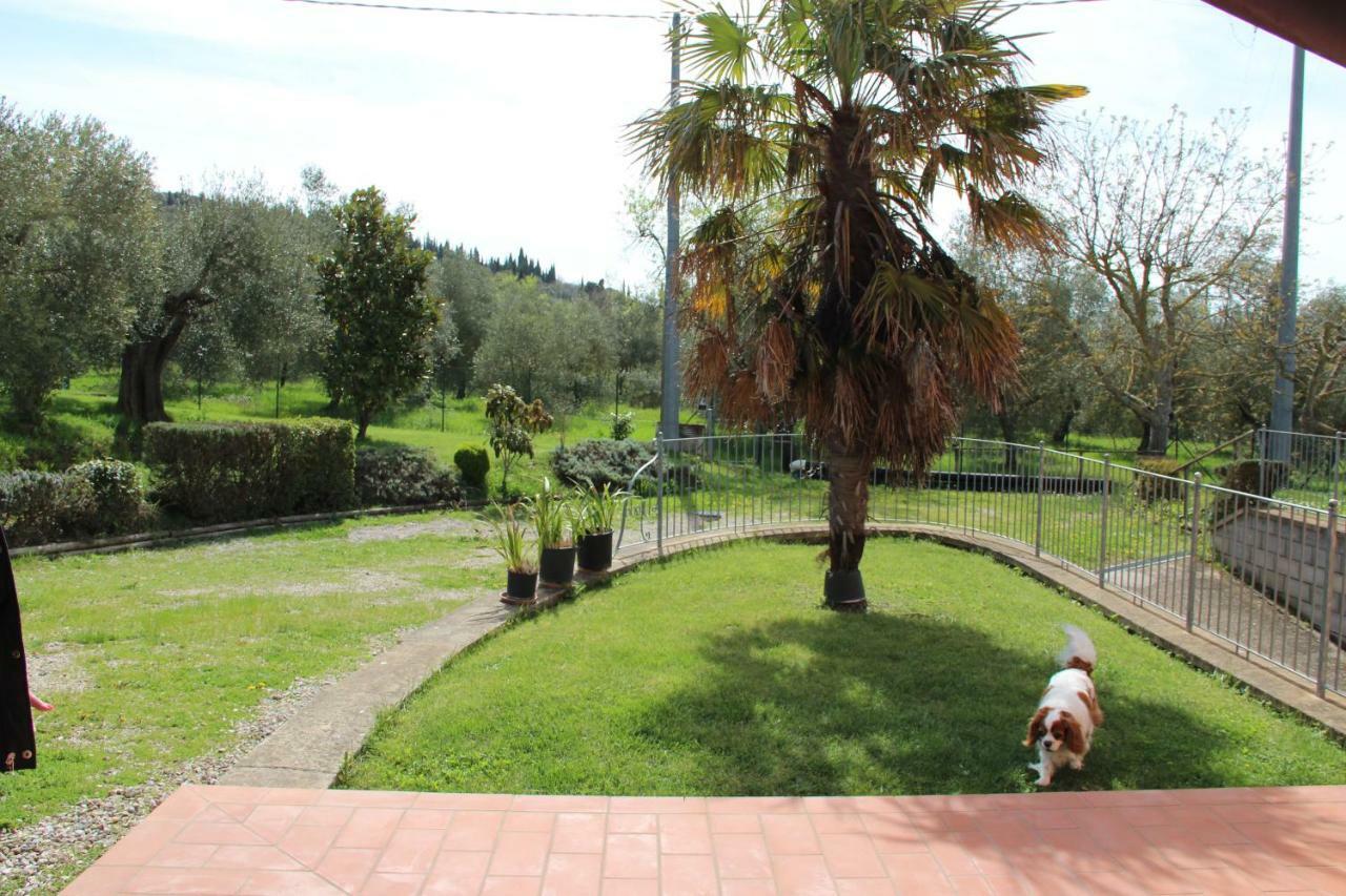 特拉西梅诺湖畔托罗 Le Coccole Del Trasimeno旅馆 外观 照片