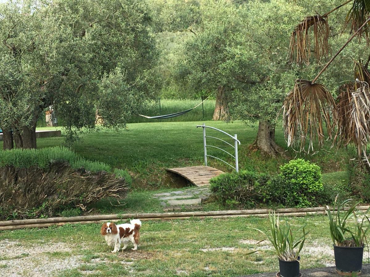 特拉西梅诺湖畔托罗 Le Coccole Del Trasimeno旅馆 外观 照片