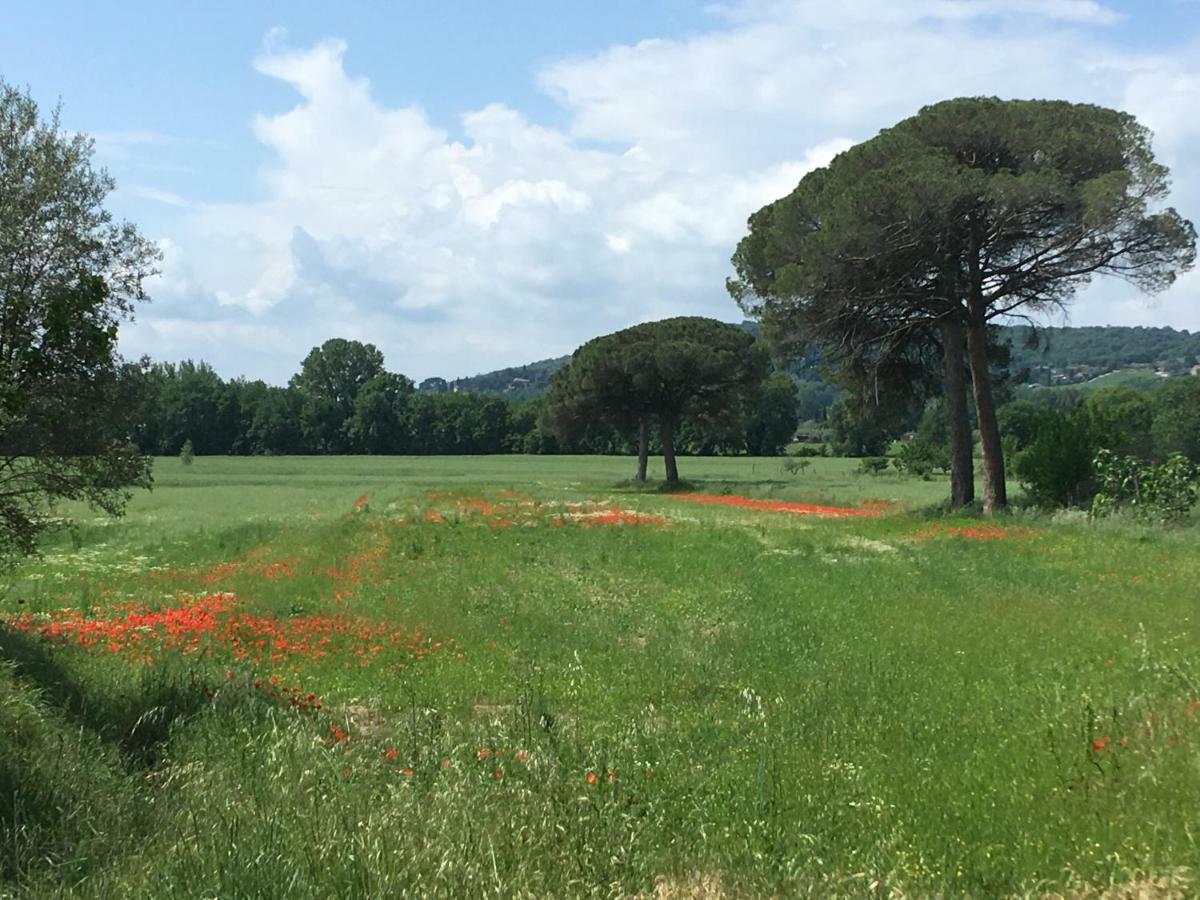 特拉西梅诺湖畔托罗 Le Coccole Del Trasimeno旅馆 外观 照片