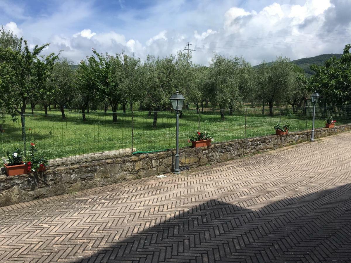 特拉西梅诺湖畔托罗 Le Coccole Del Trasimeno旅馆 外观 照片